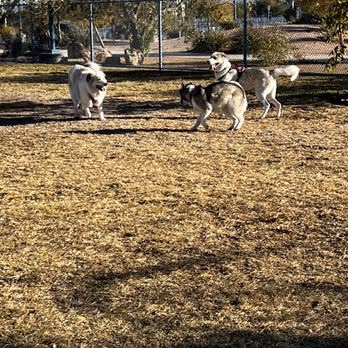 Dog Park at Kellogg-Zaher Sports Complex photo 1